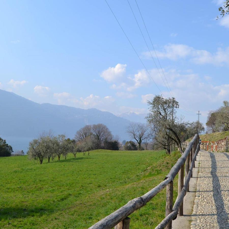 La Cascina Della Vigna Del Viandante Villa Abbadia Lariana Dış mekan fotoğraf