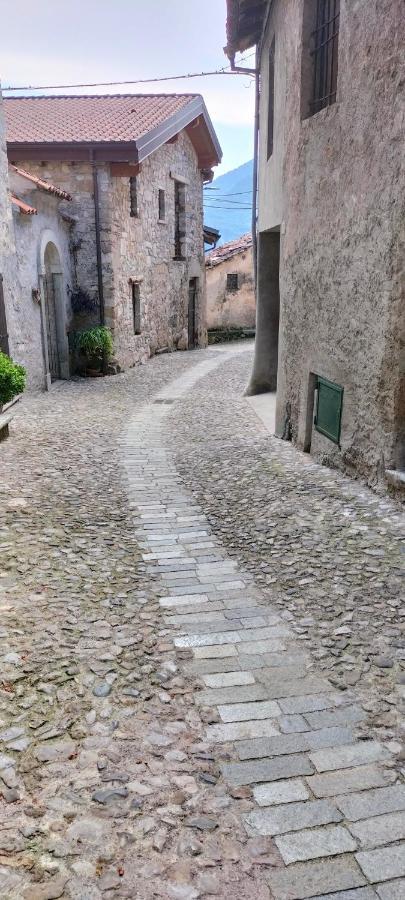 La Cascina Della Vigna Del Viandante Villa Abbadia Lariana Dış mekan fotoğraf