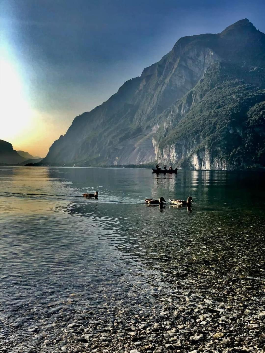 La Cascina Della Vigna Del Viandante Villa Abbadia Lariana Dış mekan fotoğraf